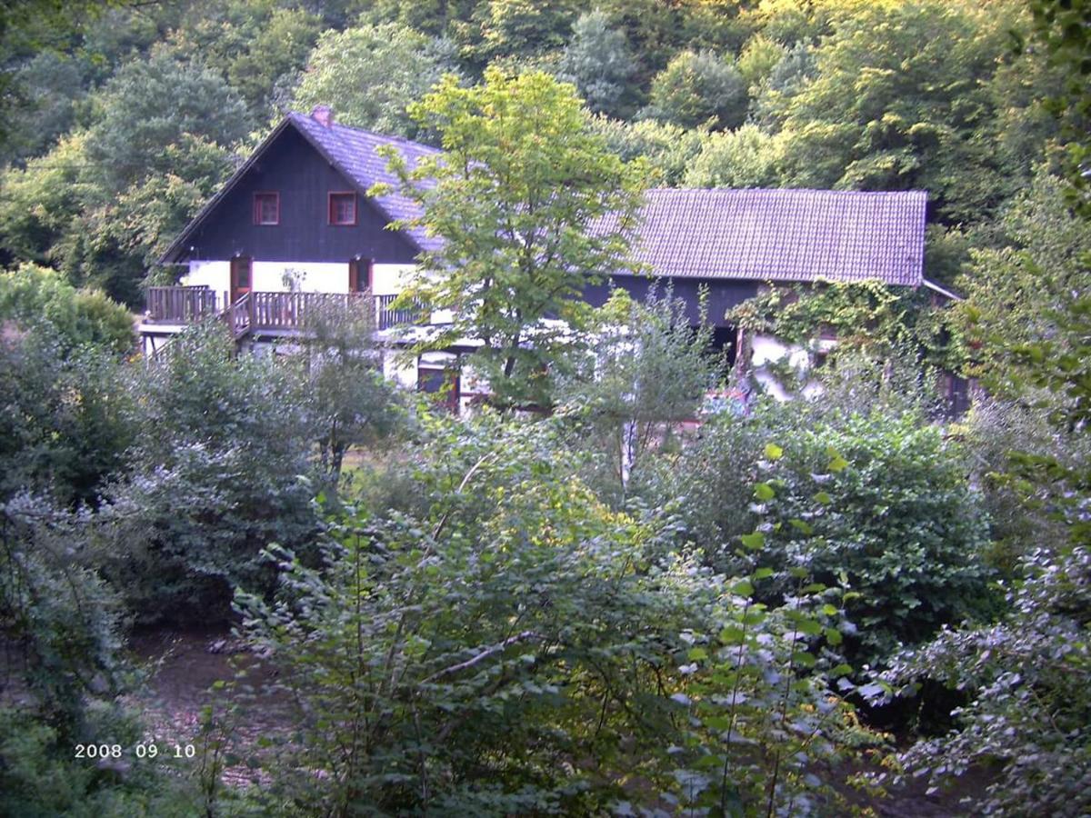Neumuehle Ferienwohnung 2 Lutzerath Eksteriør billede